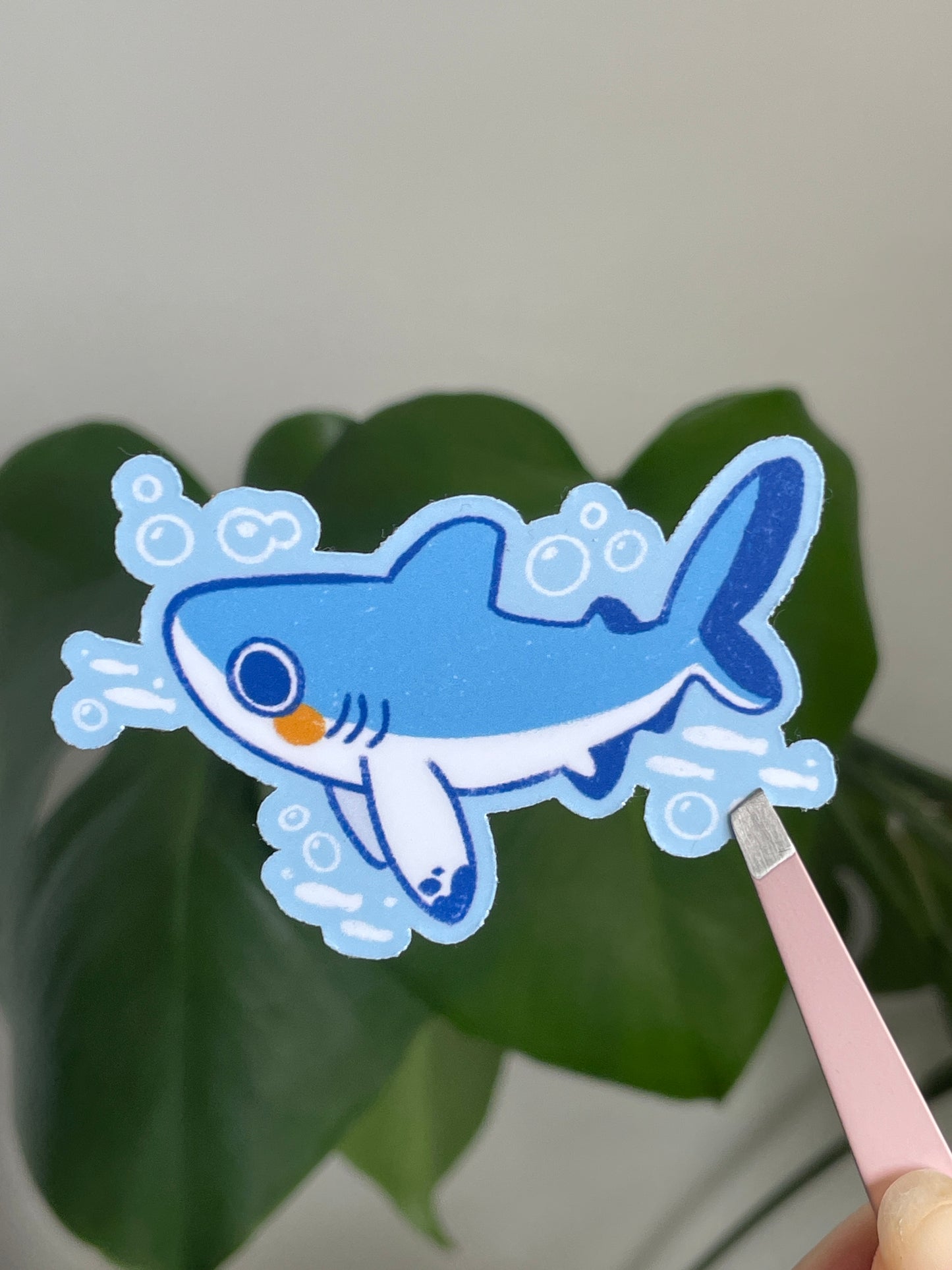 Little shark - Sticker