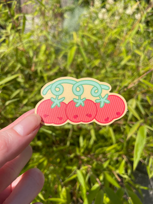 Stickie Club - June 2025