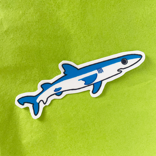Blue shark - Sticker