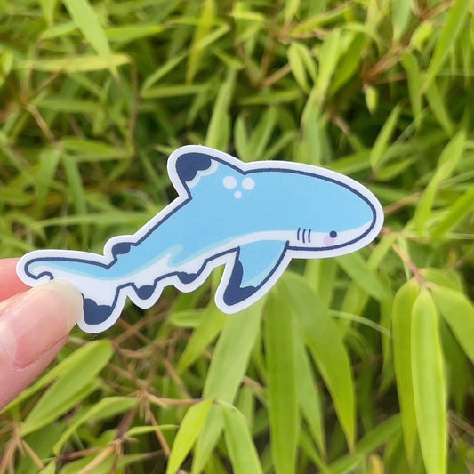 Sharks - Sticker