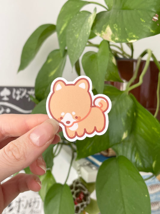 Shiba - Sticker