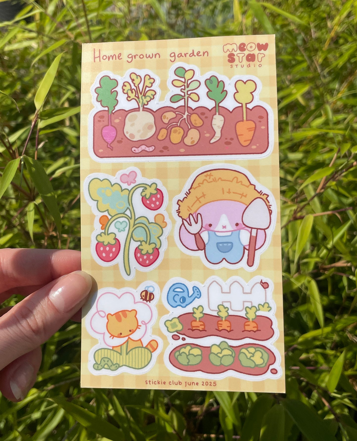 Stickie Club - June 2025